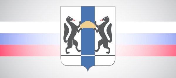 Правительство НСО логотип