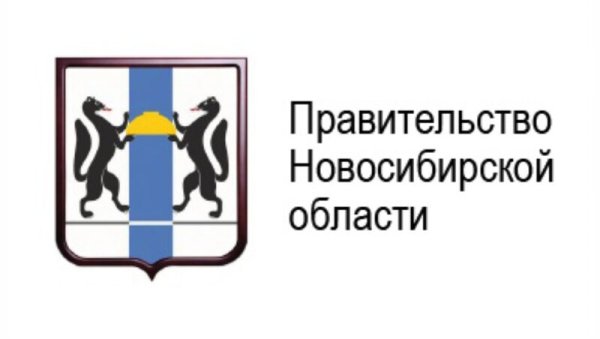 Правительство Новосибирской области логотип