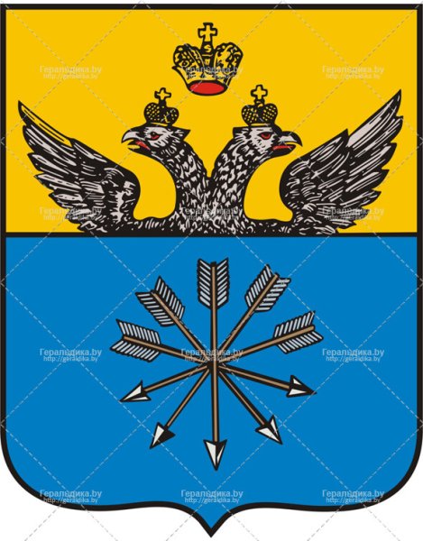 Орша флаг