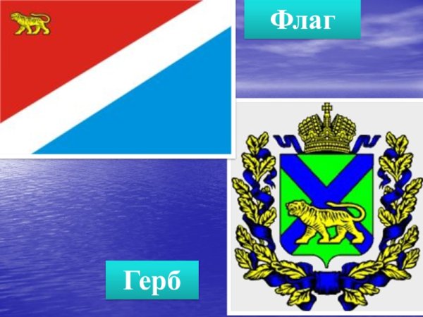 Флаг Приморского края края