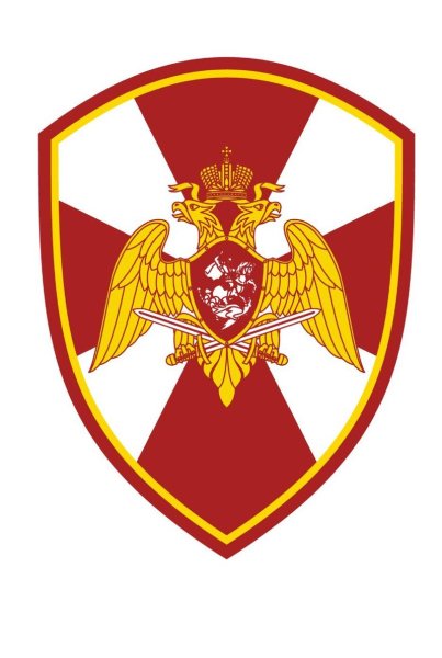 Шевроны ВНГ РФ