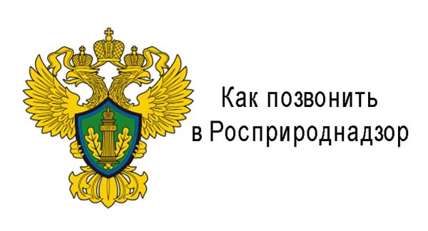 Росприроднадзор вектор