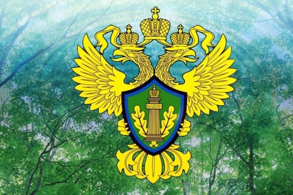 Ярославская межрайонная природоохранная прокуратура