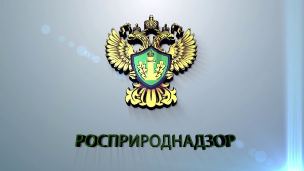 Природоохранная прокуратура и Росприроднадзор