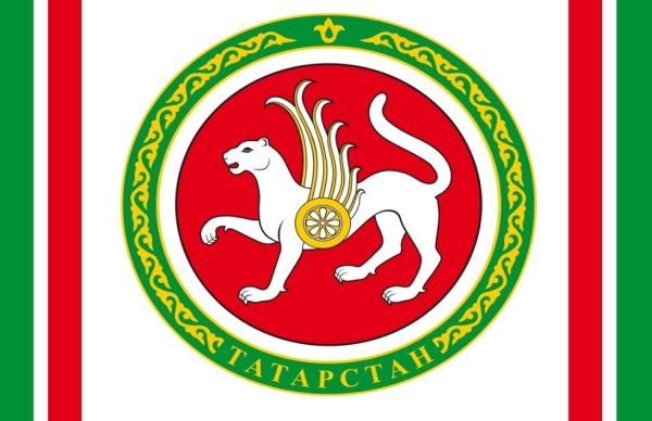 Символ Татарстана Барс