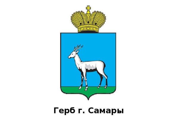 Дума городского округа Самара логотип