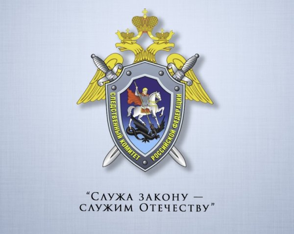 Значок Московской Академии Следственного комитета