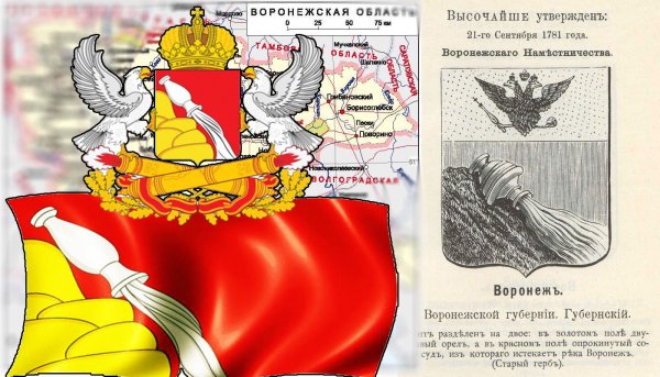 Герб и флаг Воронежа и Воронежской области