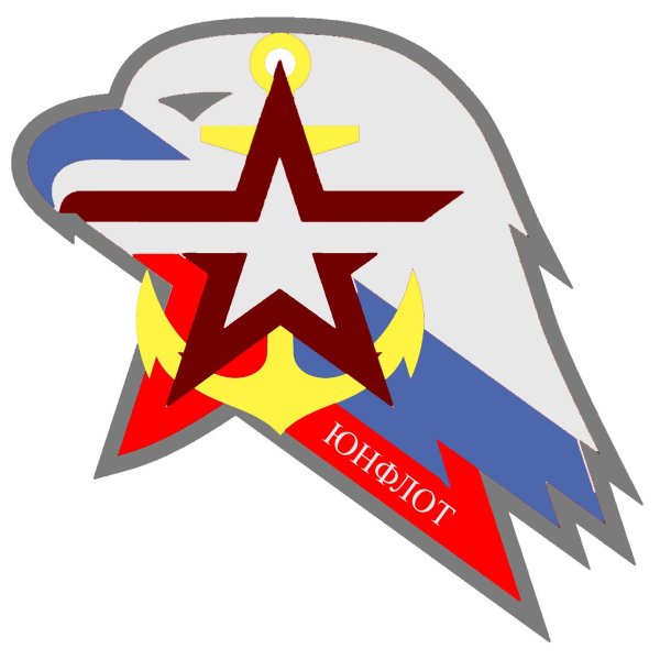 Эмблема отряда Юнармии