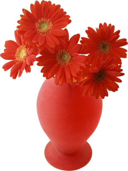 Красные цветы в вазе