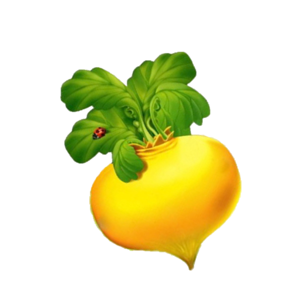 Сказка Репка Репка на белом фоне