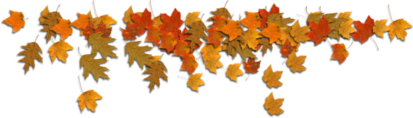 Осенние листья на прозрачном фоне
