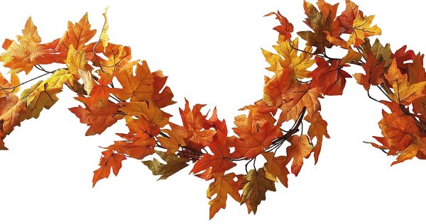 Гирлянда из осенних листьев на прозрачном фоне