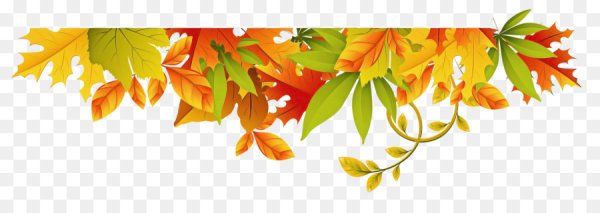 Гирлянда из осенних листьев на прозрачном фоне