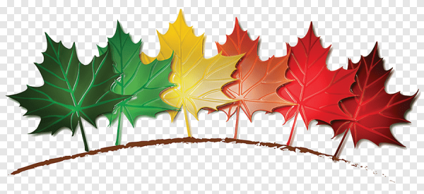 Корона с листьями