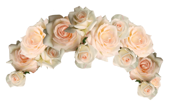 Венок из роз на белом фоне