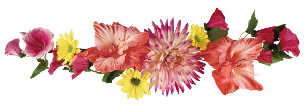 Полосочка из цветов