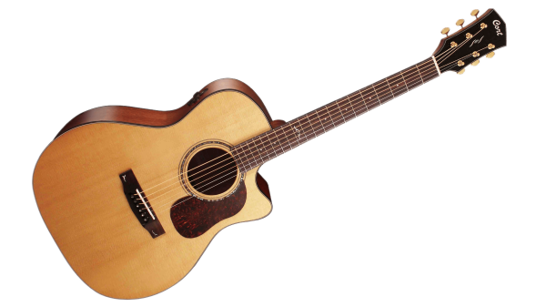 Taylor 150e