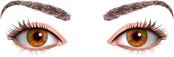 Глаз человека на прозрачном фоне