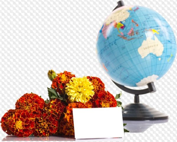 День учителя Глобус и цветы