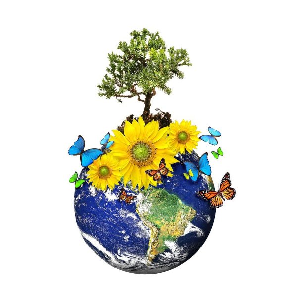 Украсим землю цветами