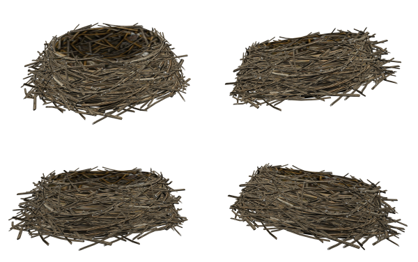 Гнездо на белом фоне