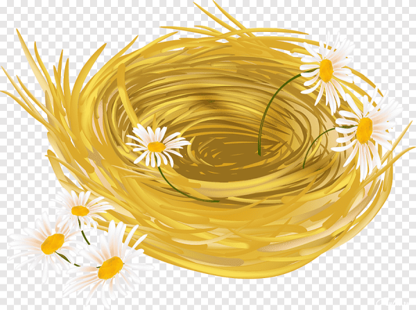 Гнездо мультяшное