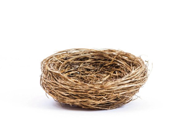 Белое гнездо