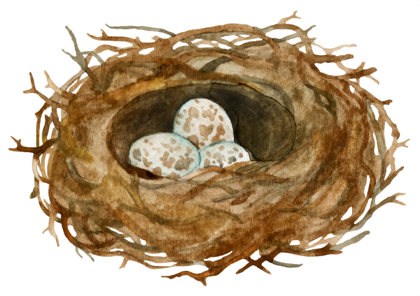 Птичье гнездо для детей