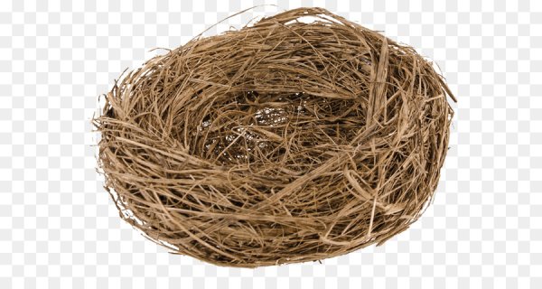 Пустое гнездо