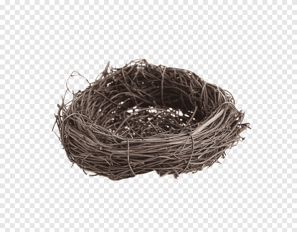 Гнездо печать