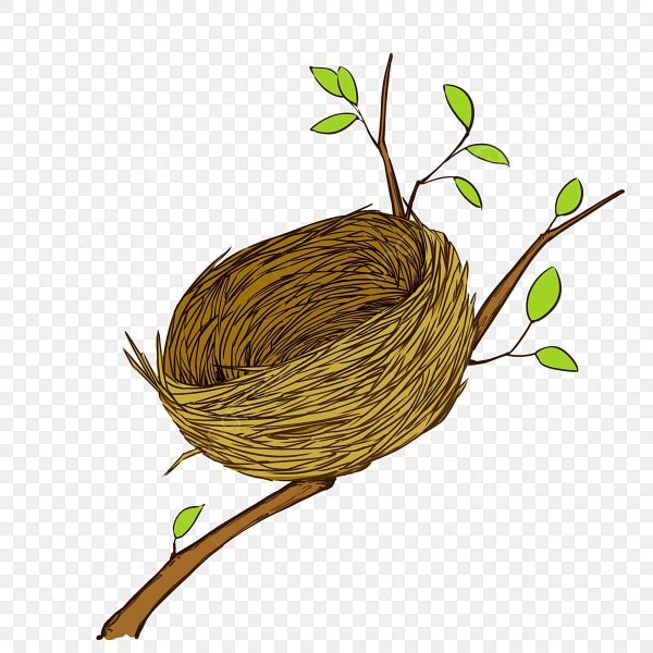 Гнездо на ветке