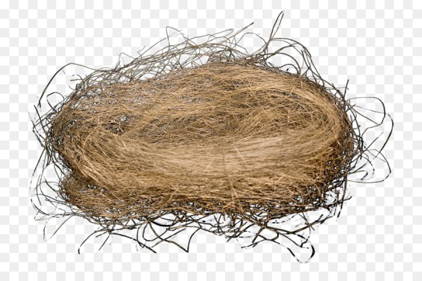 Пучок соломы