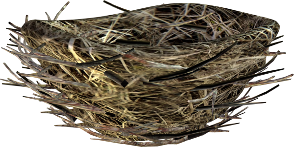 Гнездо без фона
