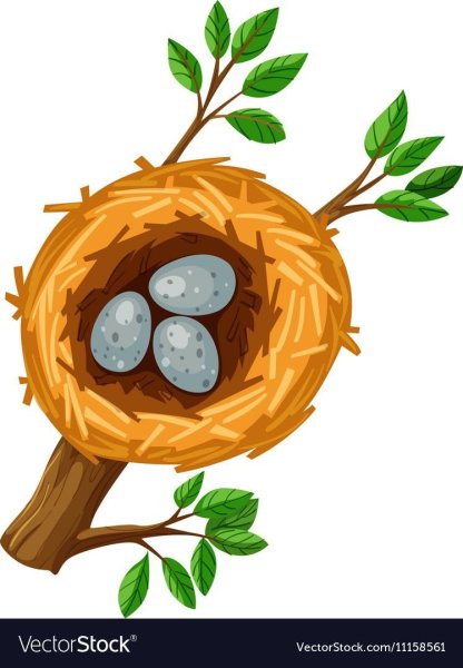 Птица в гнезде мультяшная