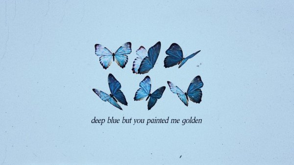 Голубые бабочки Эстетика