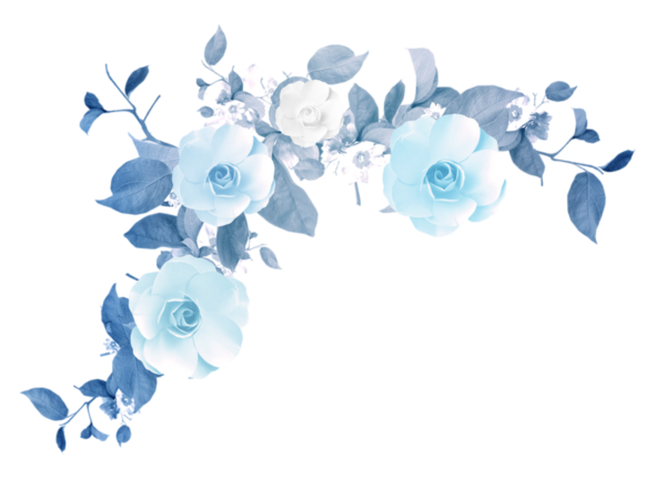 Синие цветы на белом фоне