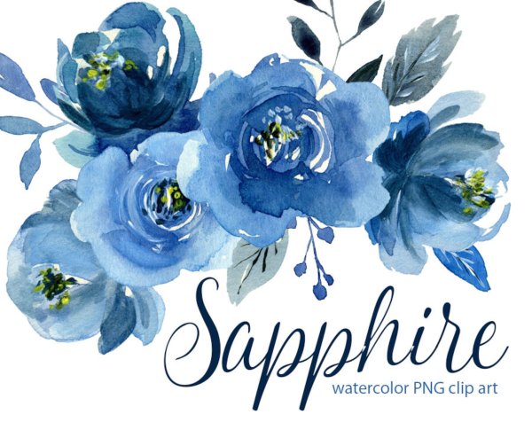 Синие розы акварель