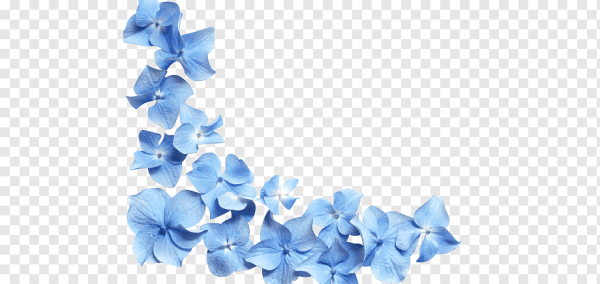 Рамка голубые цветы на прозрачном фоне