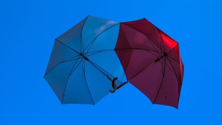 Зонтики на рабочий стол