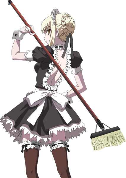 Сабер Альтер горничная