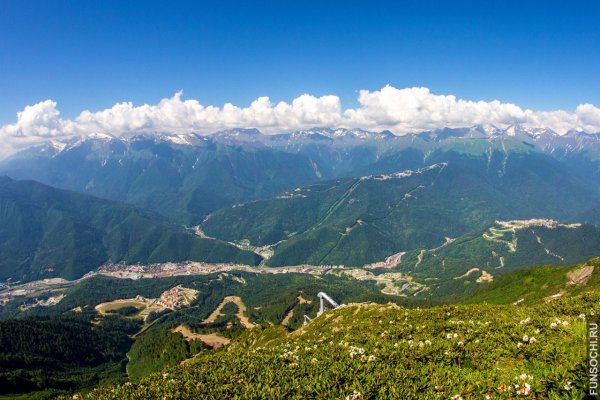 Кубань красная Поляна