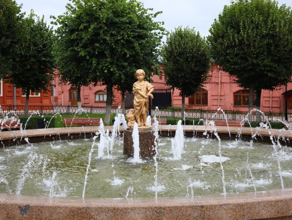 Клин фонтан грибница