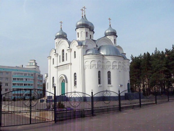 Воронежская область город Лиски улица Шевченко