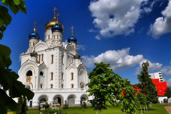 Г Лиски собор Владимирской иконы