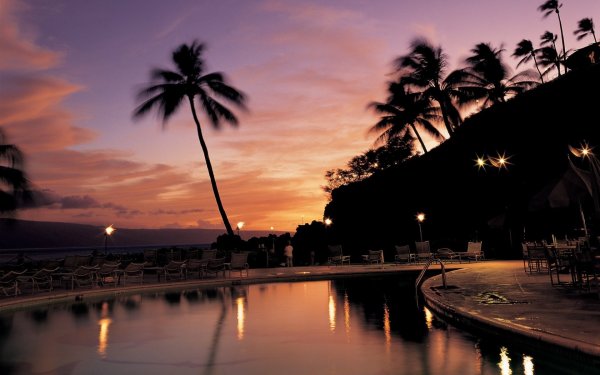 Пальма (город)