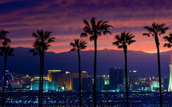 Дорога Майами Лос Анджелес