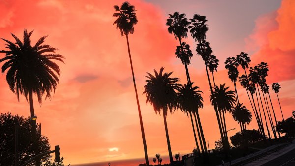 Лос Анджелес пальмы