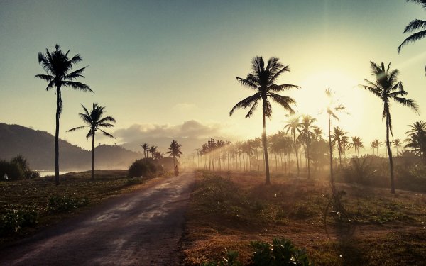 Лос Анджелес природа