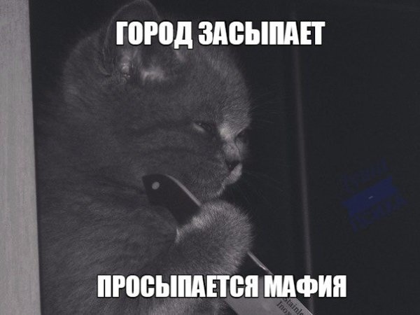 Город засыпает просыпается мафия